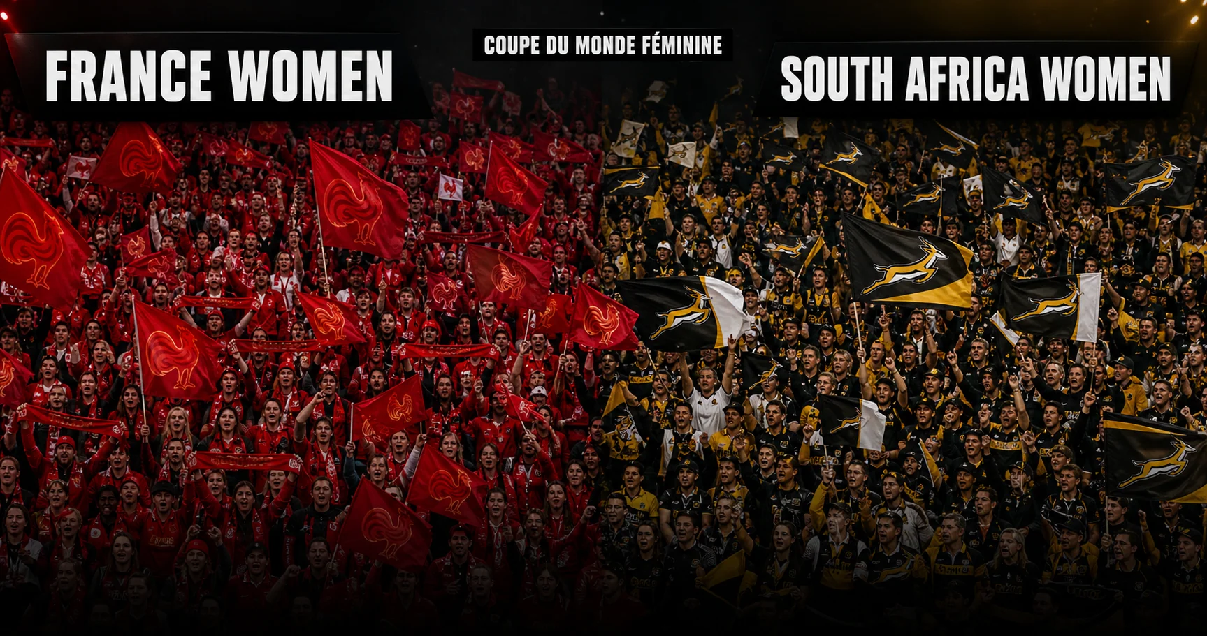 Affiche de la rencontre France féminine contre Afrique du Sud féminine
