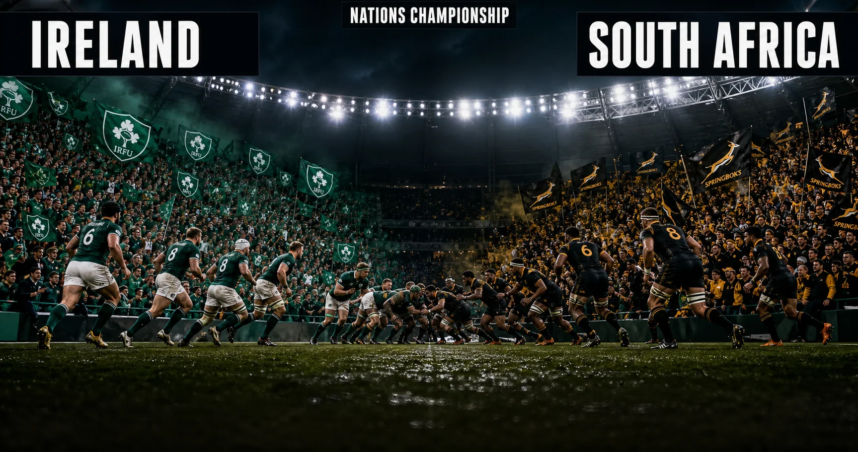 Affiche de la rencontre Irlande contre Afrique du Sud