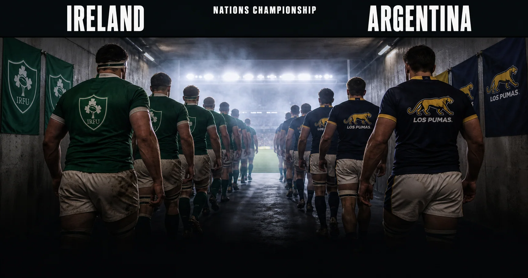 Affiche de la rencontre Irlande contre Argentine