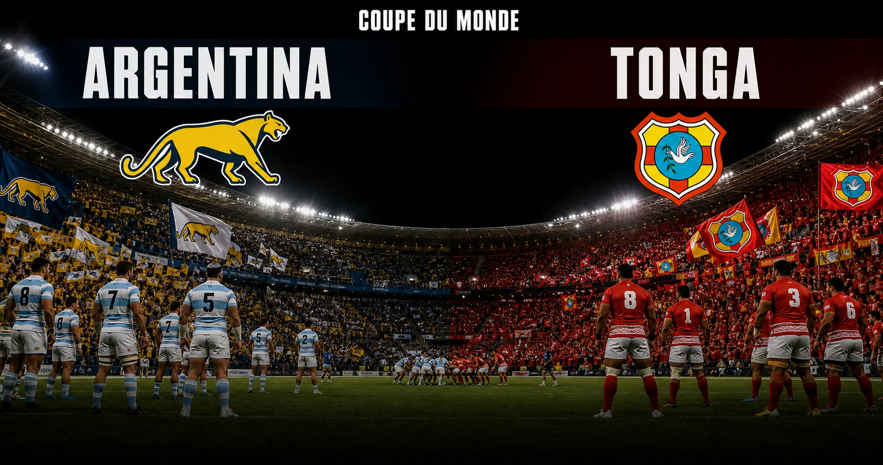 Affiche de la rencontre Argentine contre Tonga