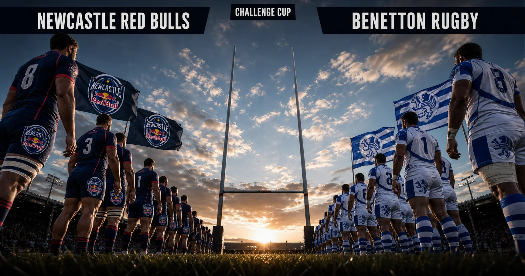 Affiche de la rencontre Newcastle Red Bulls contre Benetton Rugby
