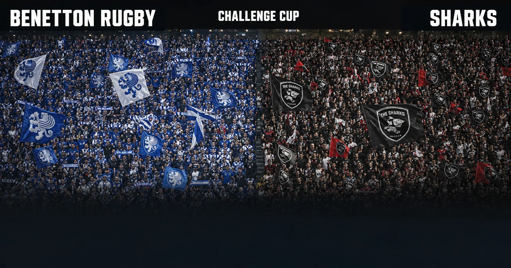 Affiche de la rencontre Benetton Rugby contre Sharks