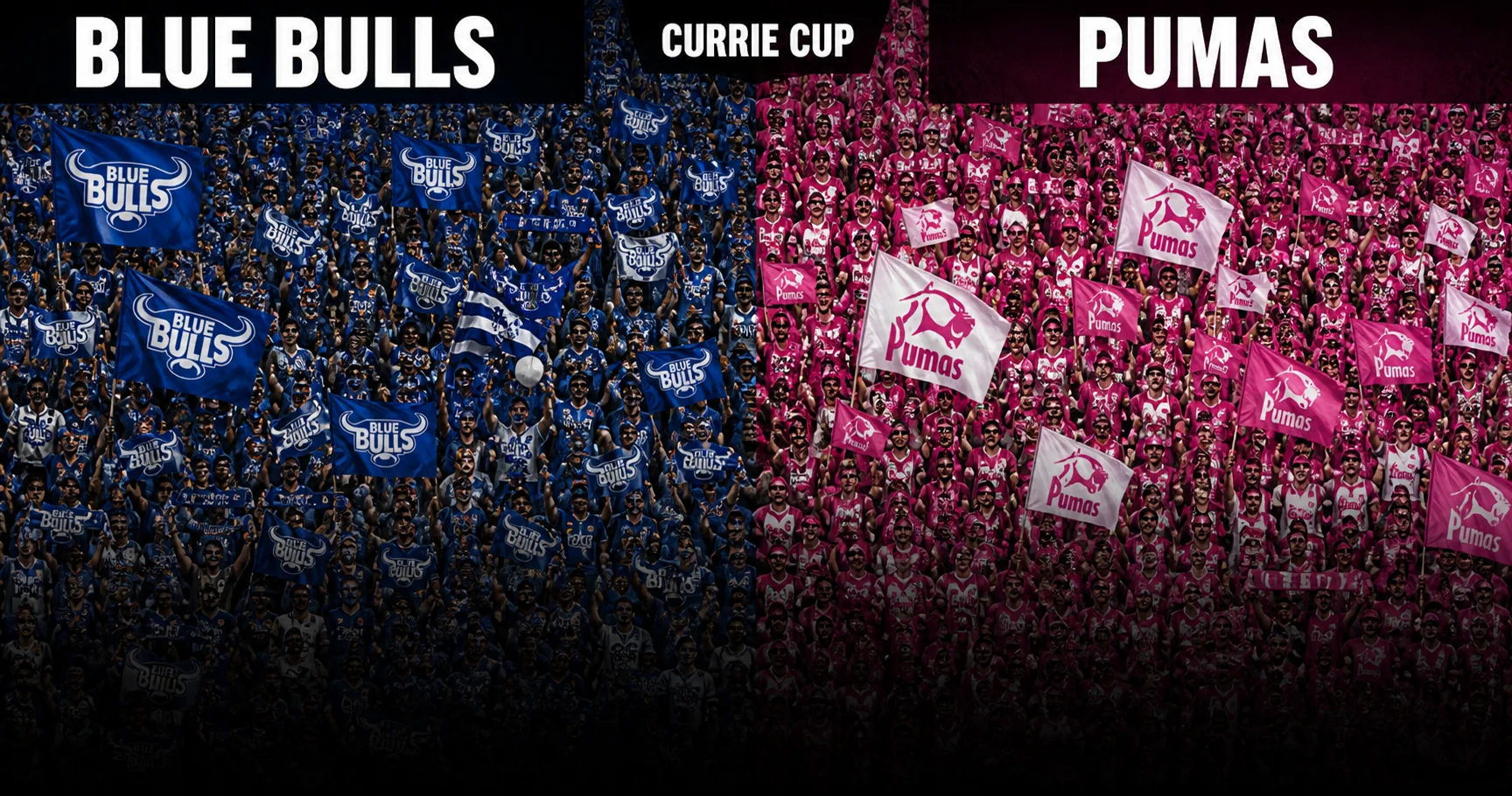 Affiche de la rencontre Blue Bulls contre Pumas