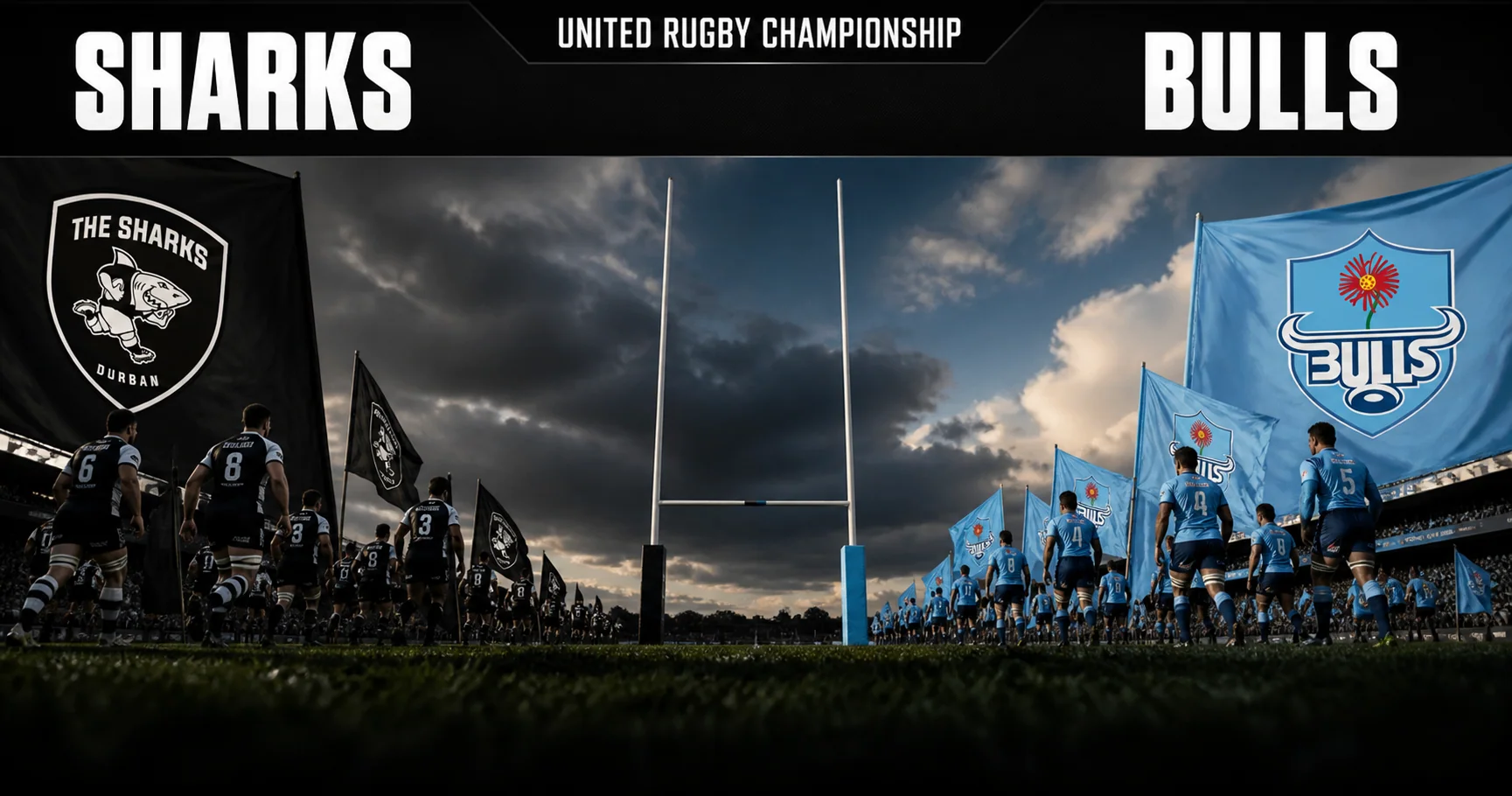 Affiche de la rencontre Sharks contre Bulls