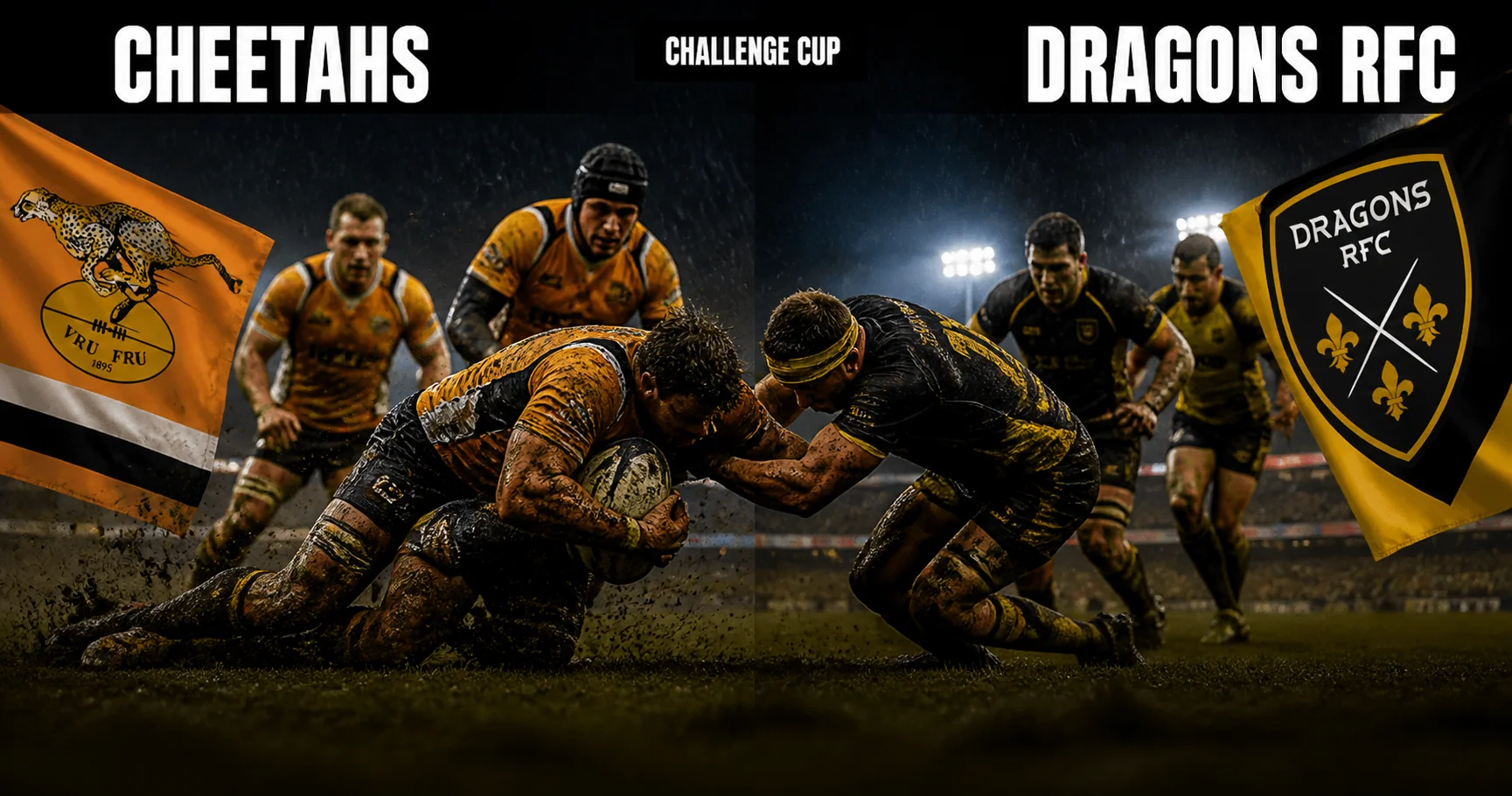 Affiche de la rencontre Cheetahs contre Dragons RFC