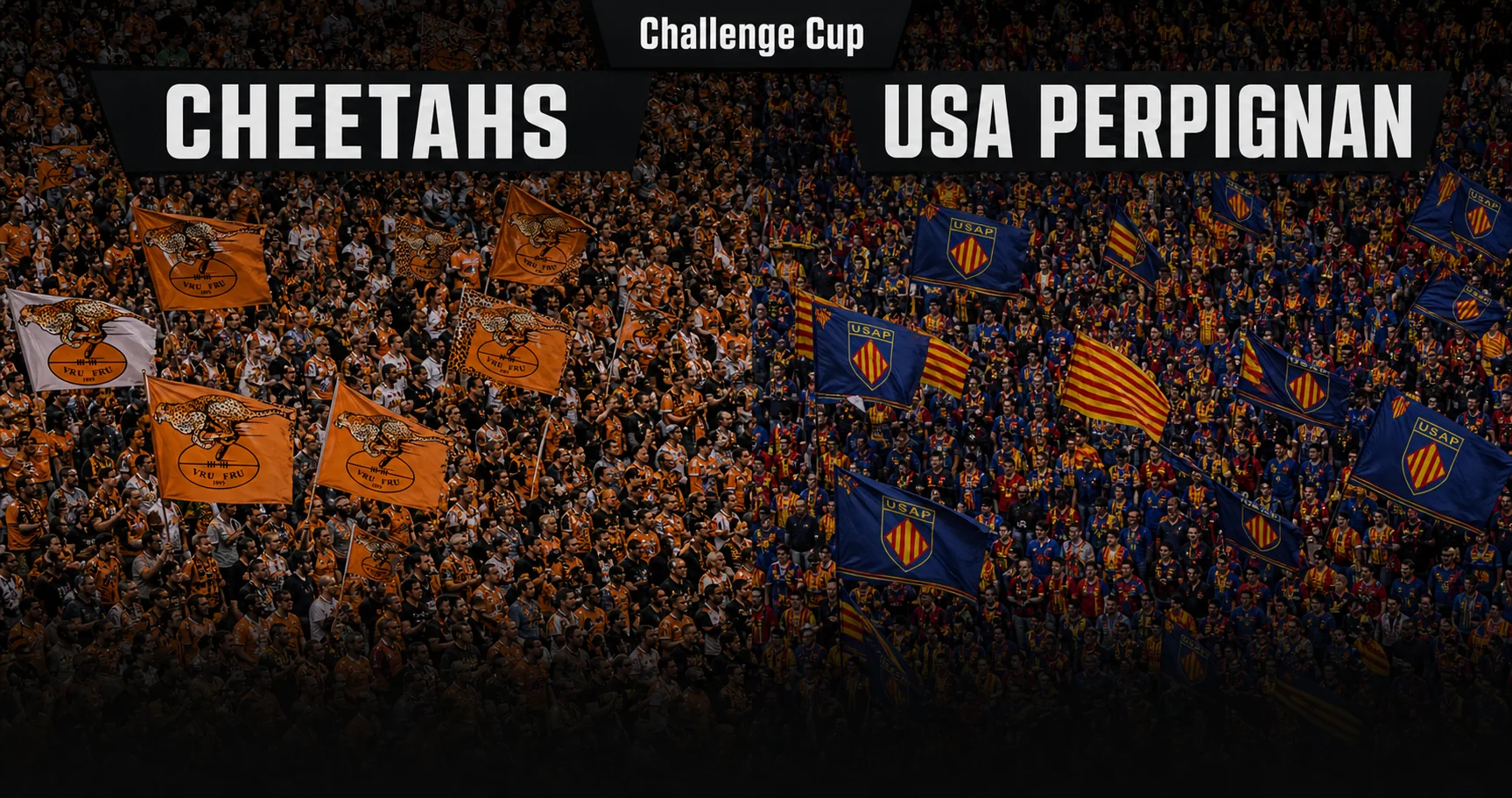 Affiche de la rencontre Cheetahs contre USA Perpignan