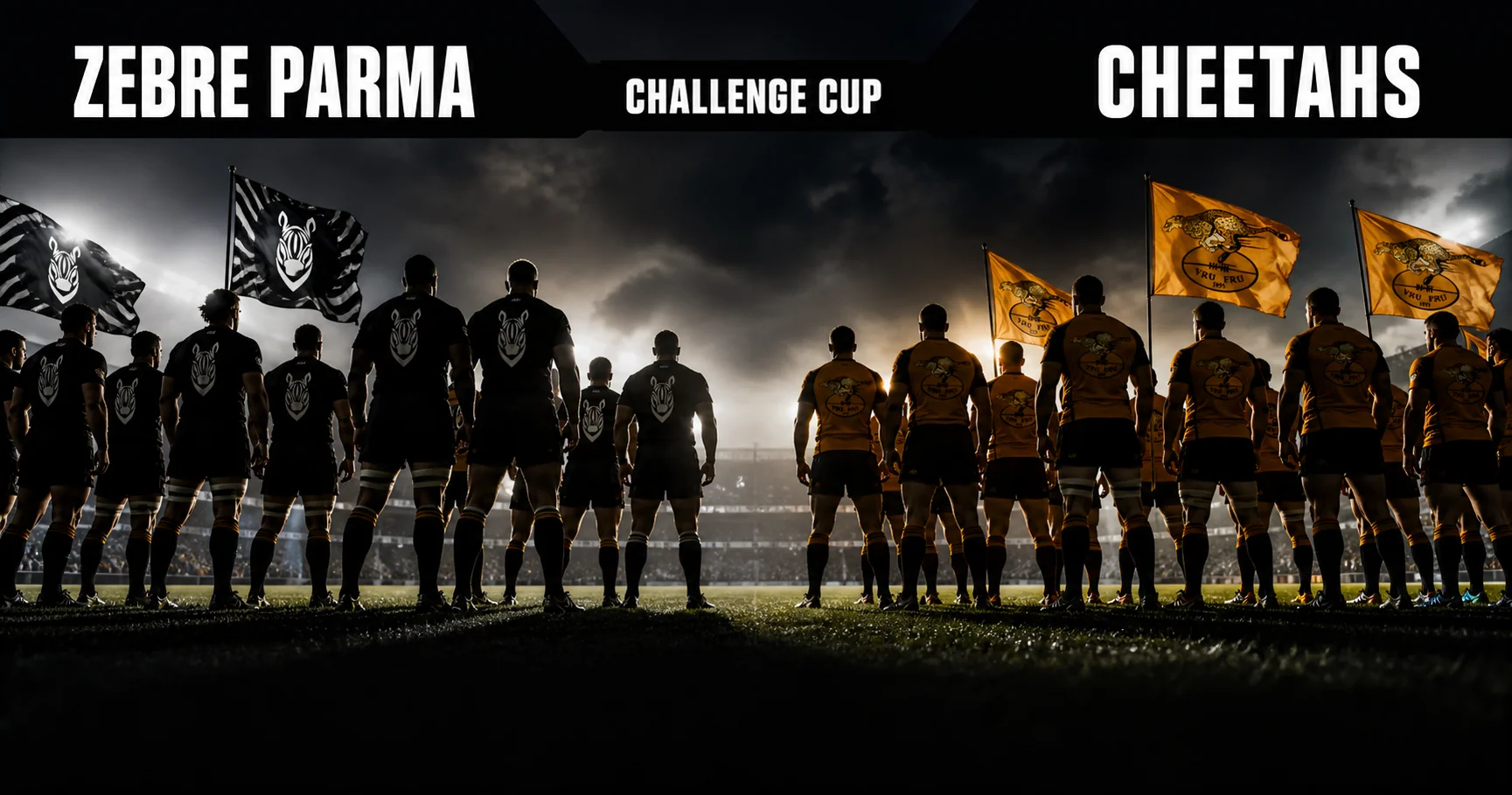 Affiche de la rencontre Zebre Parma contre Cheetahs