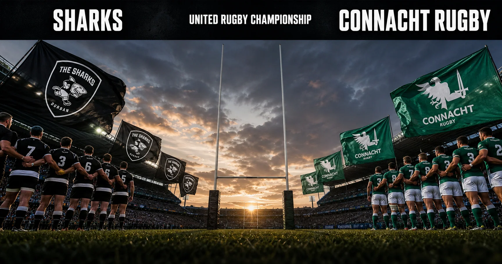 Affiche de la rencontre Sharks contre Connacht Rugby