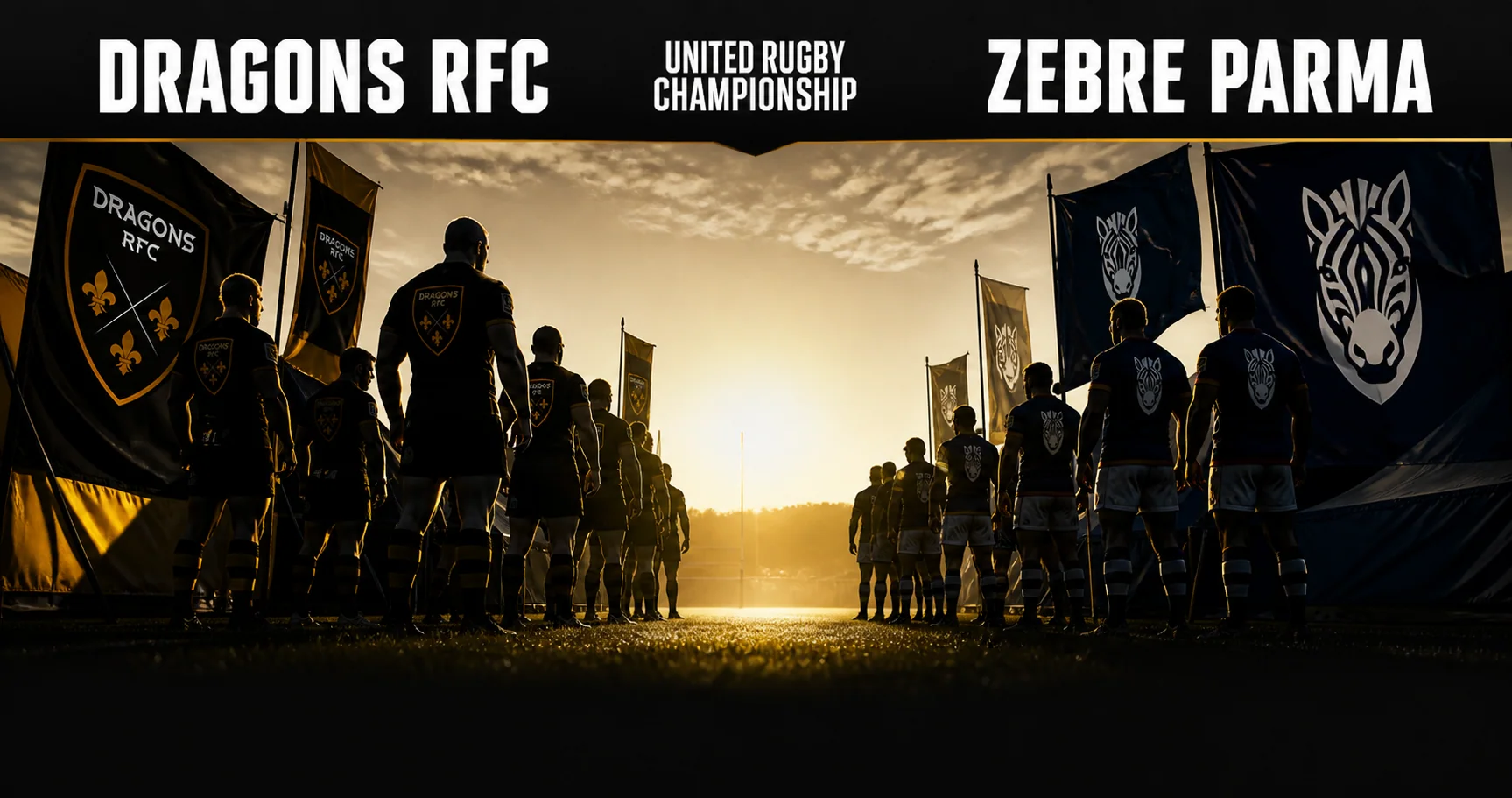 Affiche de la rencontre Dragons RFC contre Zebre Parma