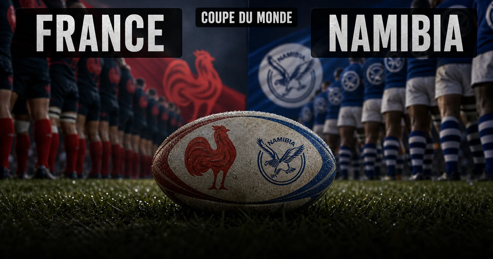 Affiche de la rencontre France contre Namibie