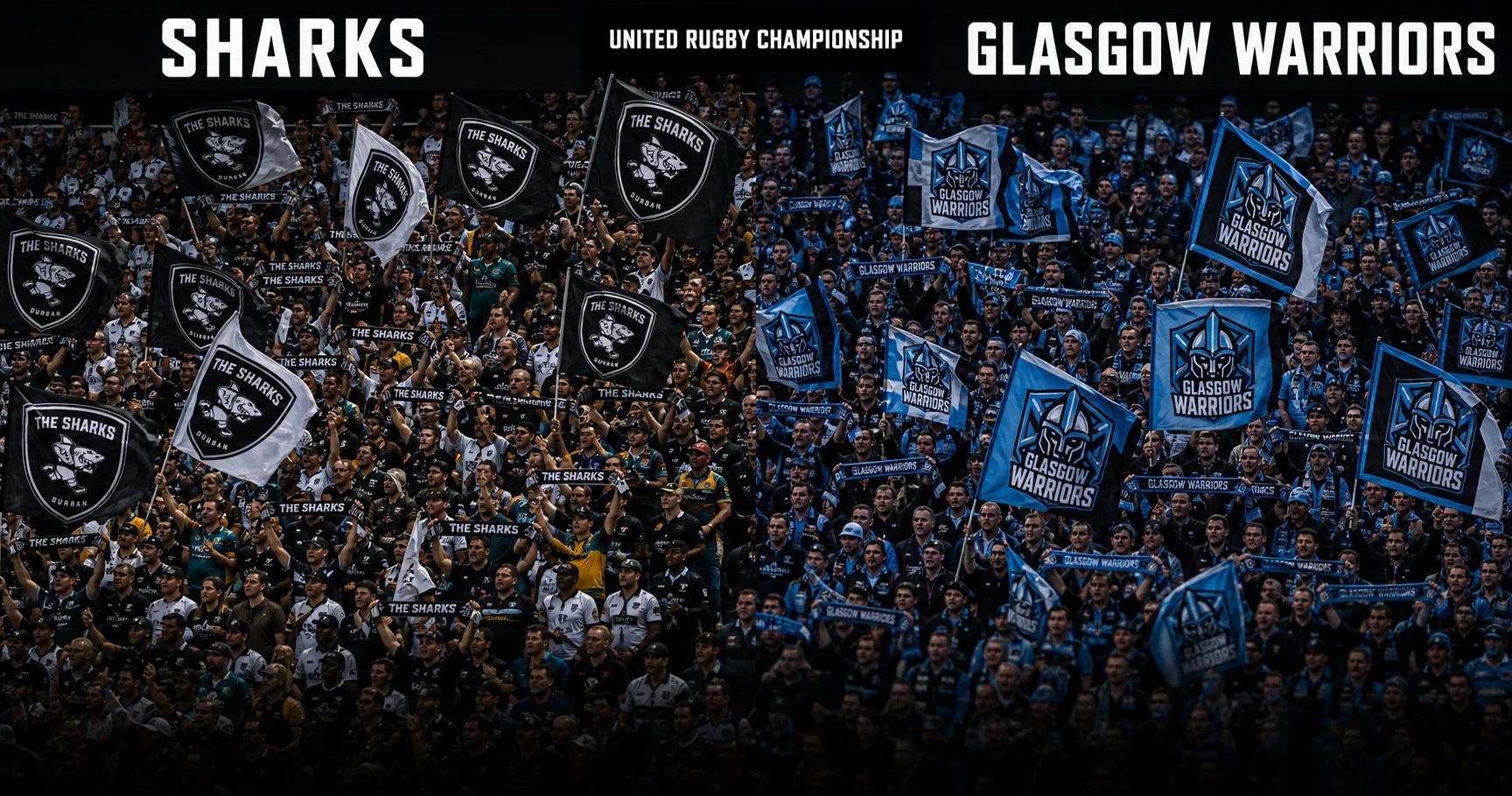 Affiche de la rencontre Sharks contre Glasgow Warriors