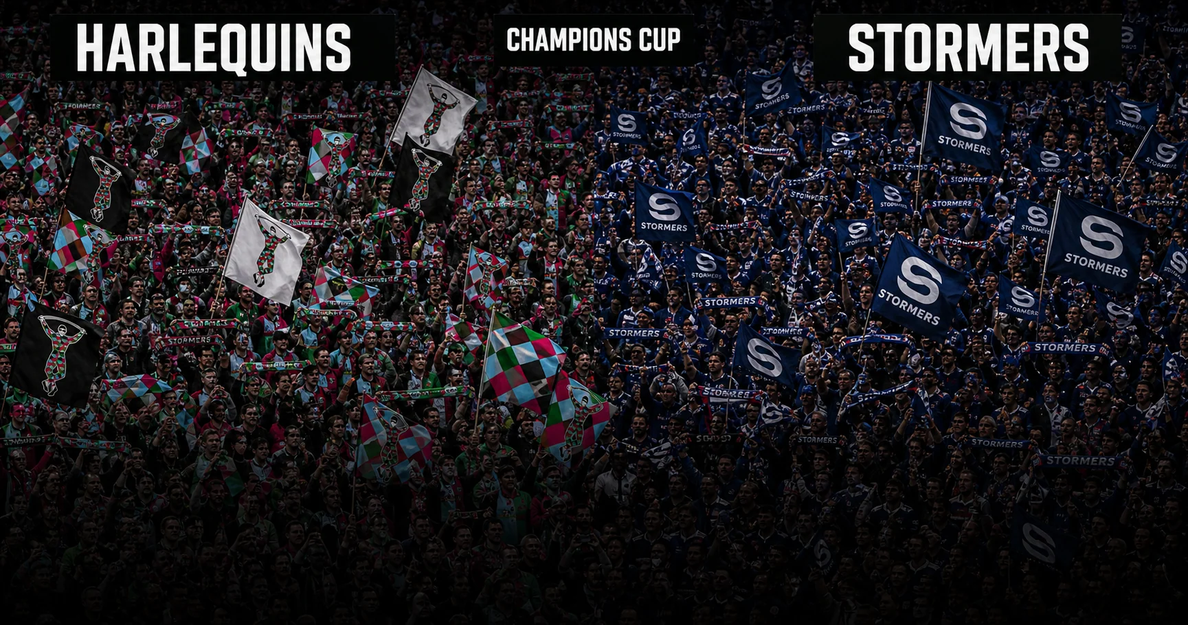 Affiche de la rencontre Harlequins contre Stormers