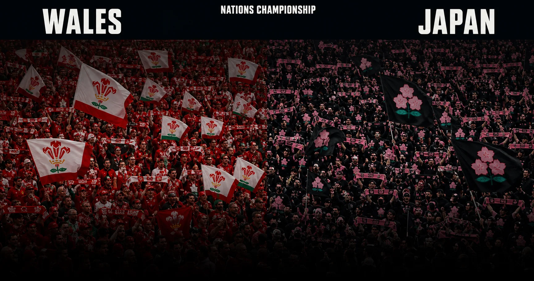 Affiche de la rencontre Pays de Galles contre Japon