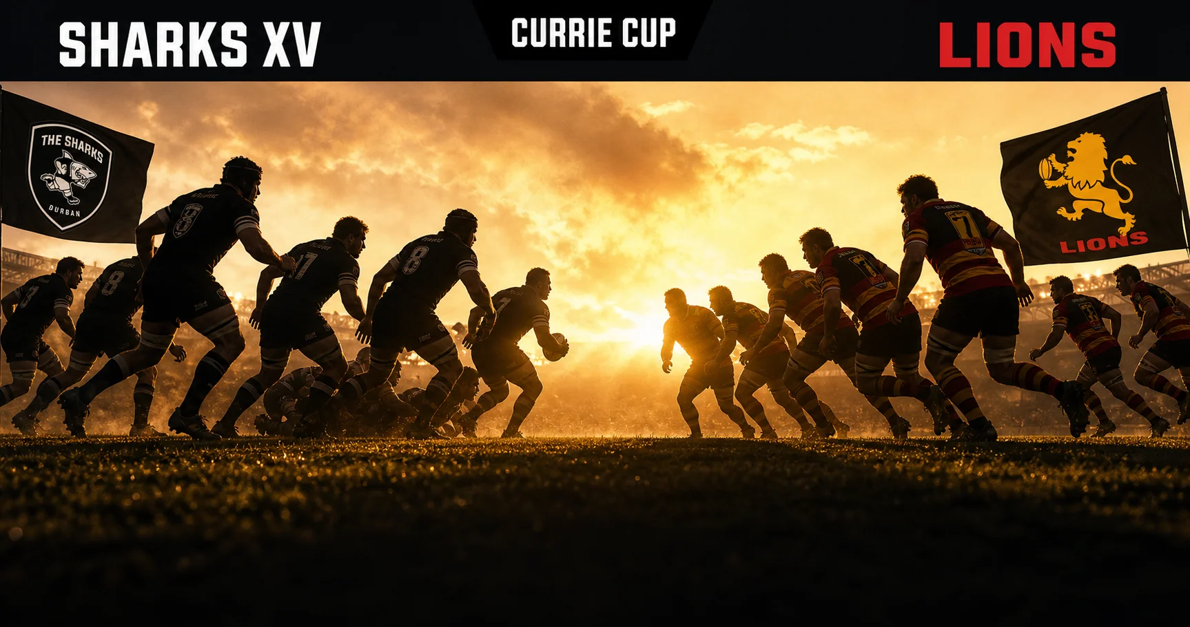 Affiche de la rencontre Sharks XV contre Lions