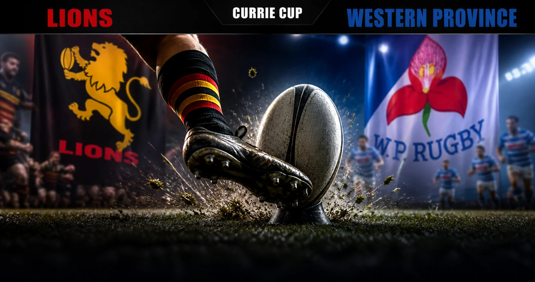 Affiche de la rencontre Lions contre Western Province