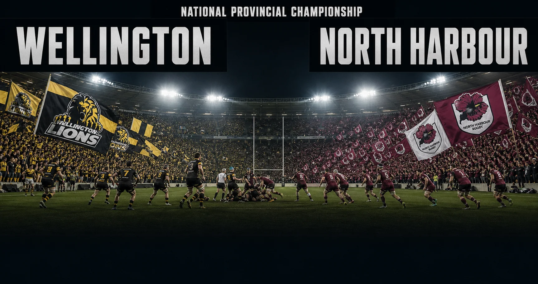 Affiche de la rencontre Wellington contre North Harbour