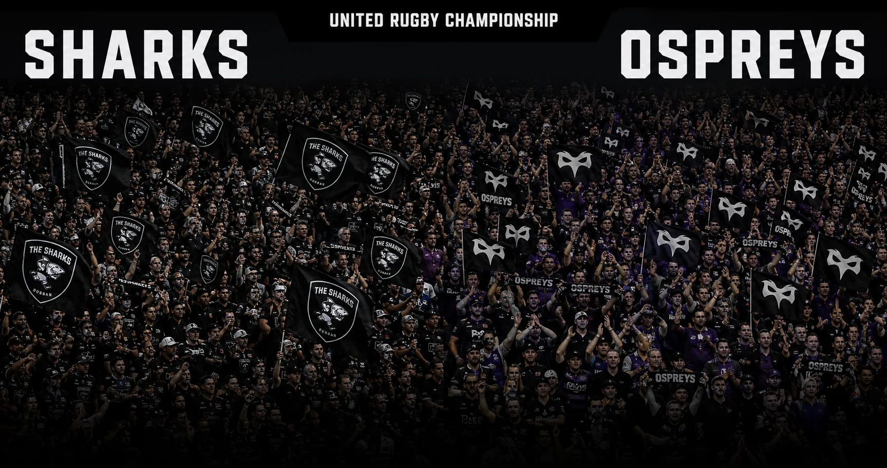 Affiche de la rencontre Sharks contre Ospreys