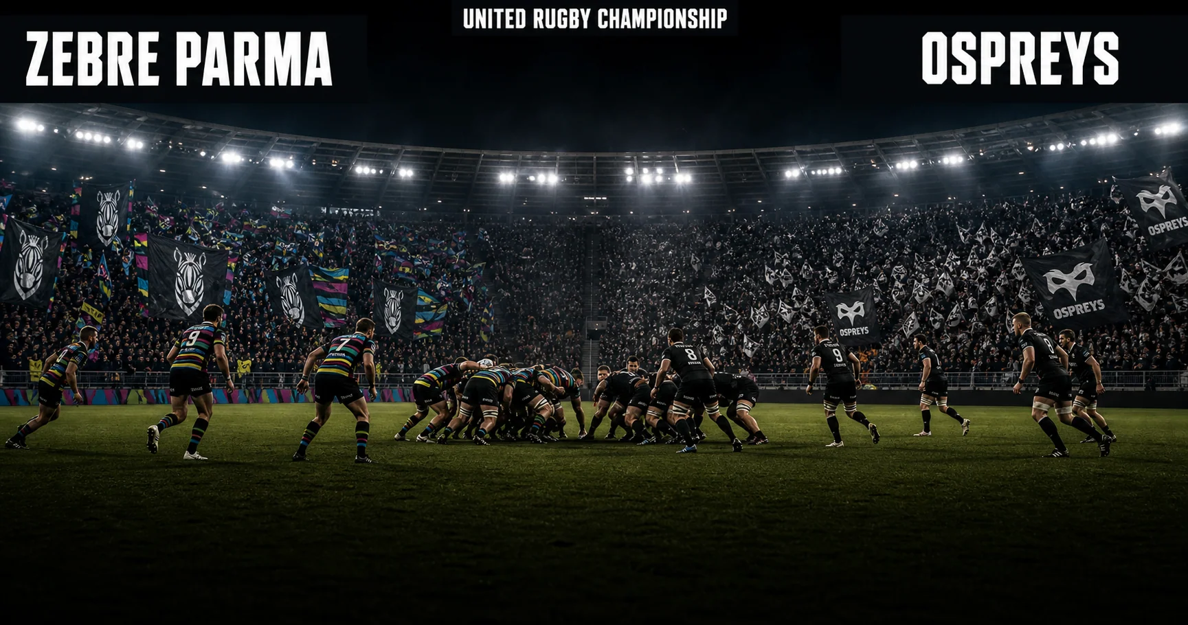 Affiche de la rencontre Zebre Parma contre Ospreys