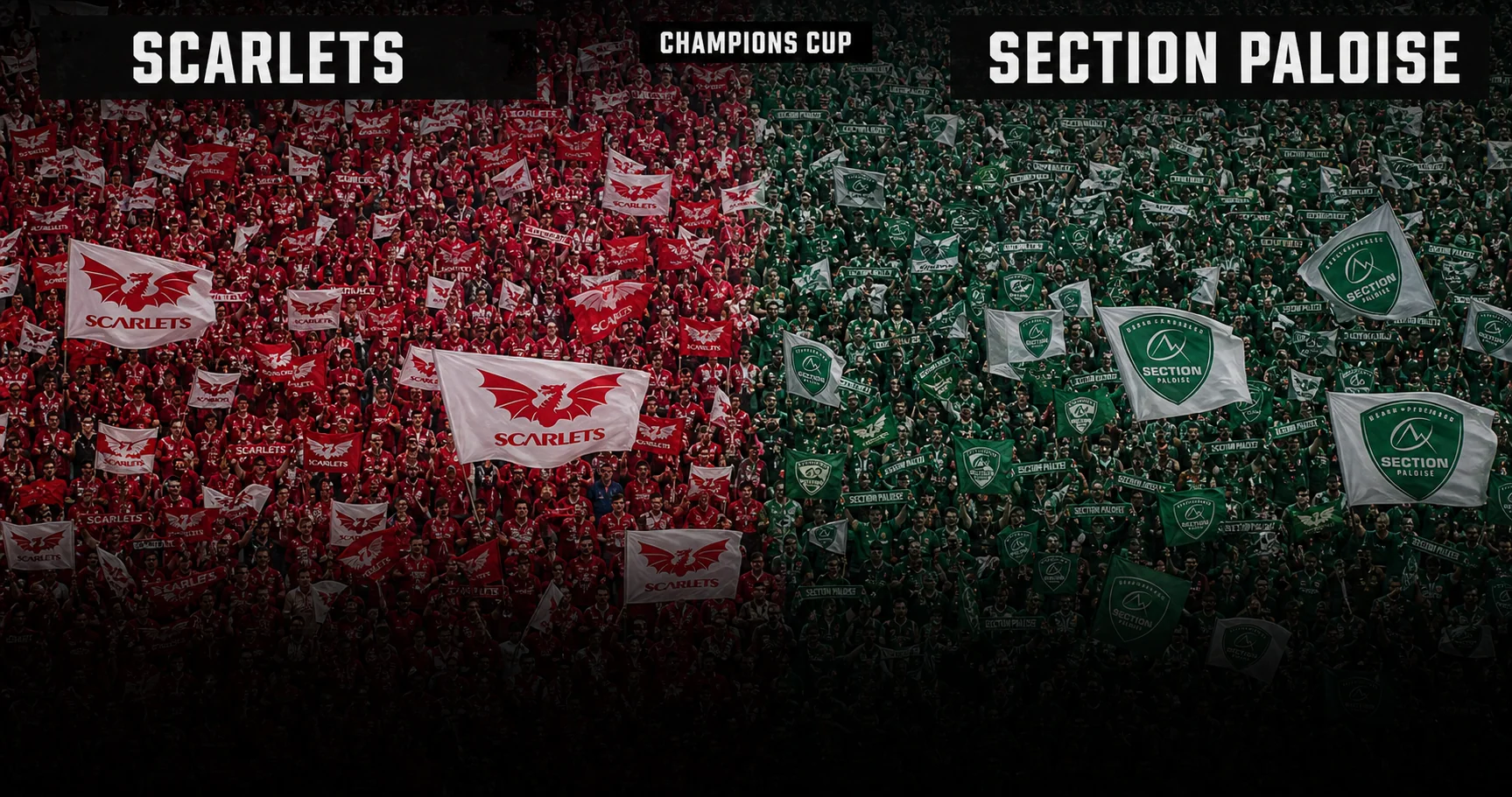 Affiche de la rencontre Scarlets contre Section Paloise