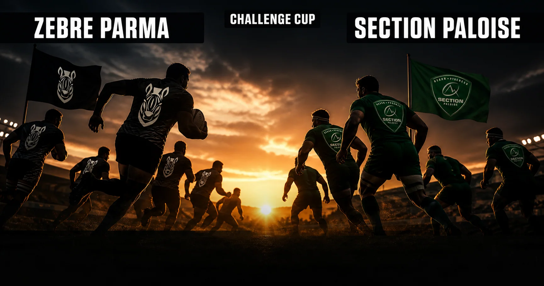 Affiche de la rencontre Zebre Parma contre Section Paloise