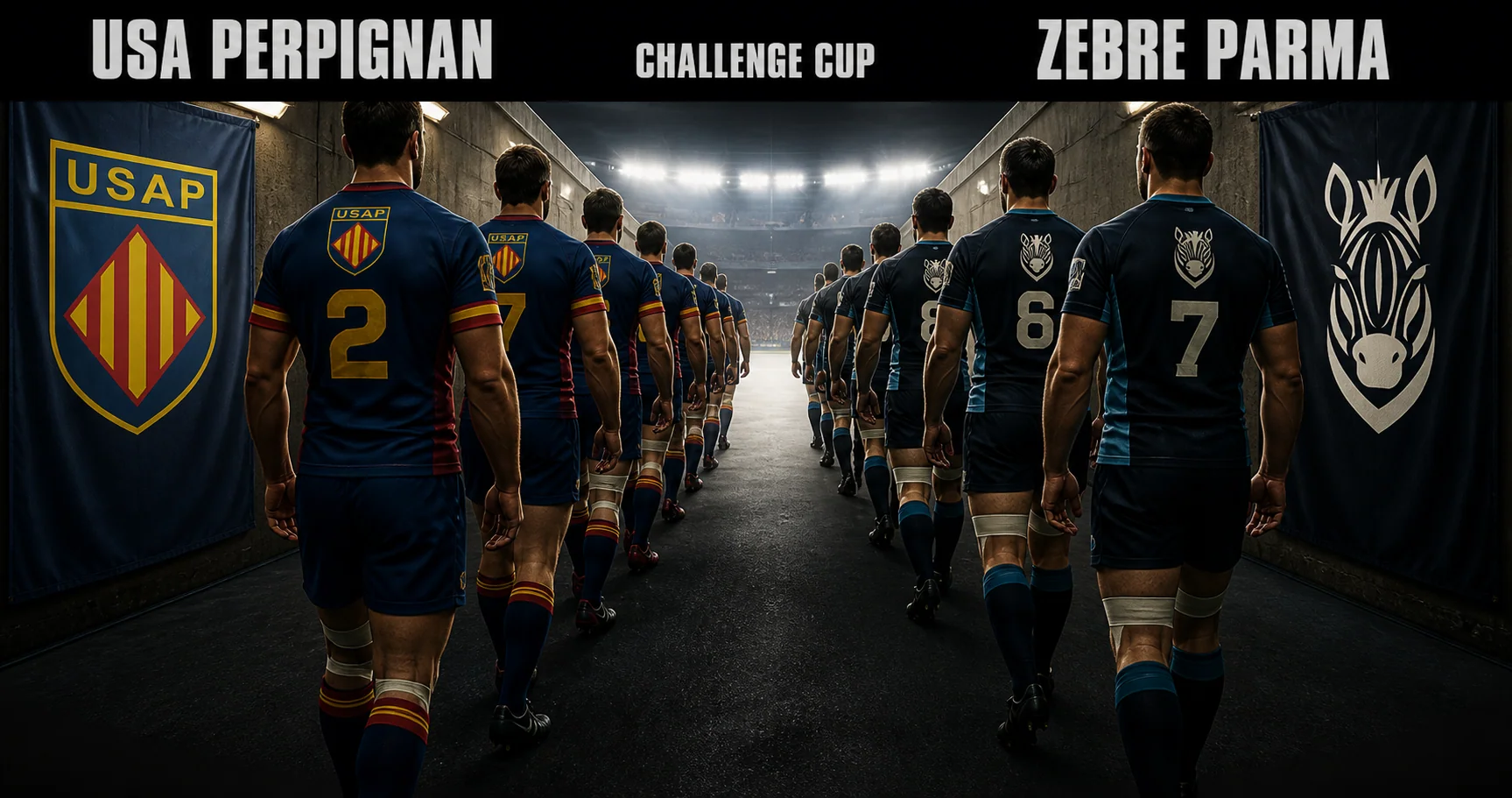 Affiche de la rencontre USA Perpignan contre Zebre Parma