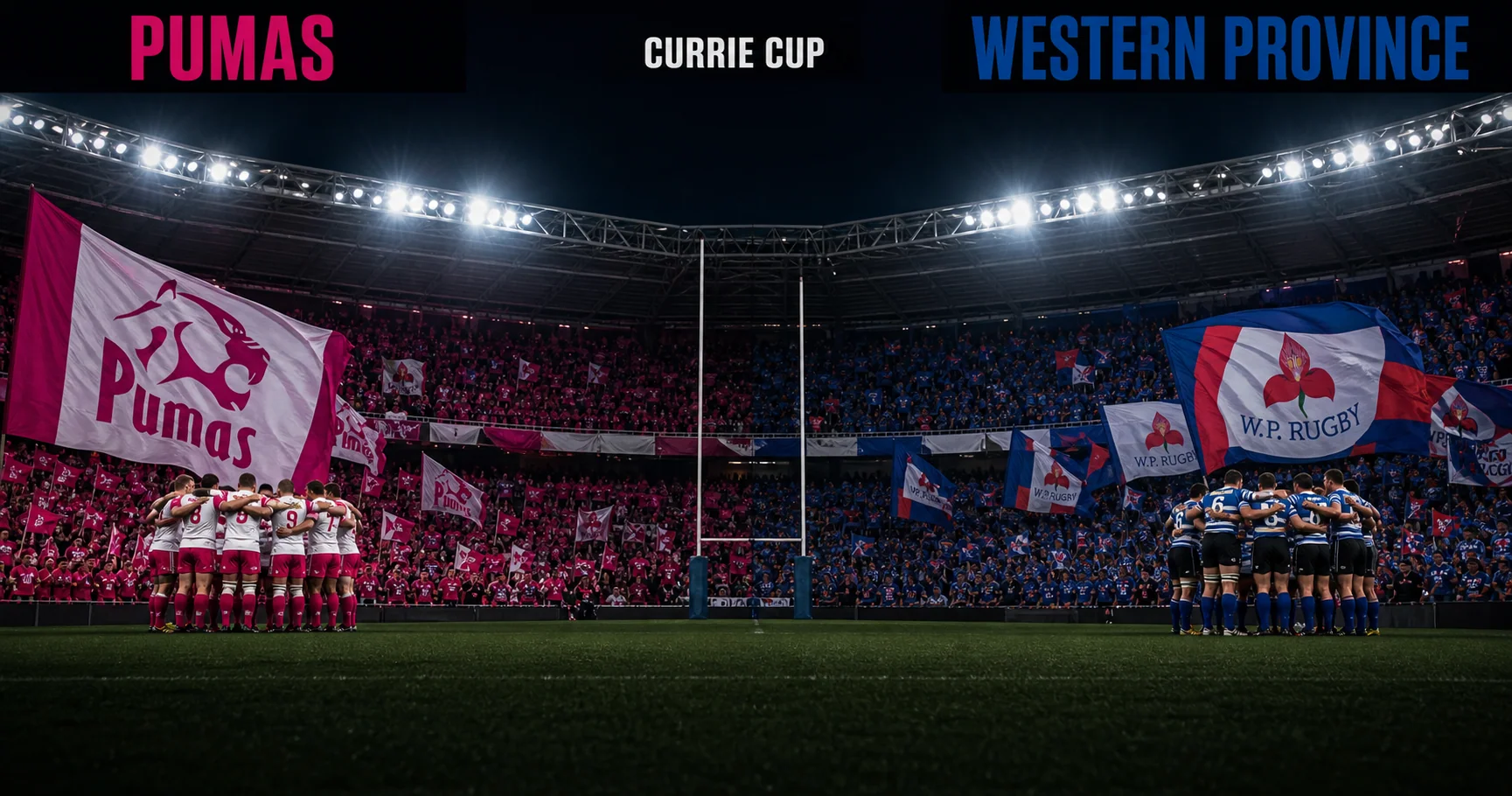 Affiche de la rencontre Pumas contre Western Province