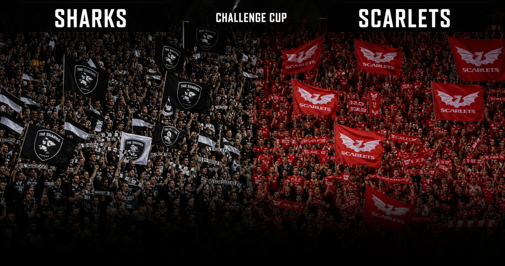 Affiche de la rencontre Sharks contre Scarlets