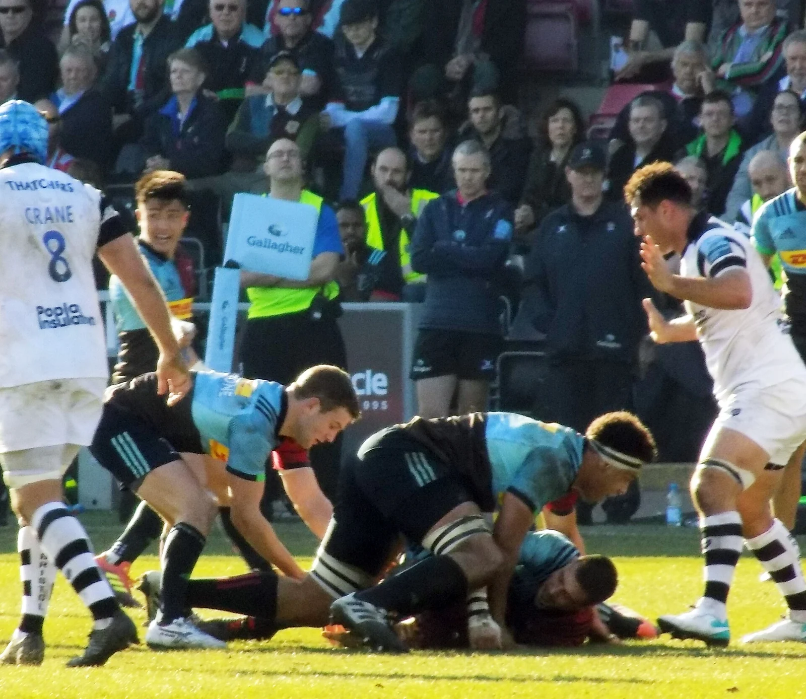 Harlequins contre Bristol au Stoop, le 23 février 2019.